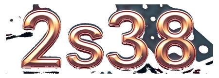2s38 logo
